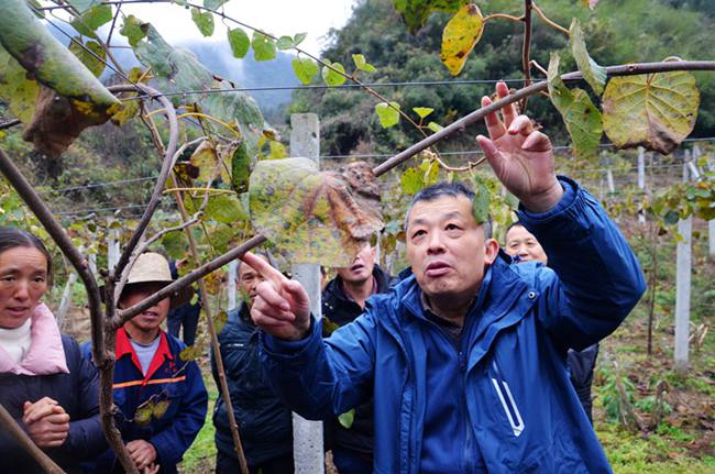 陳慶紅獼猴桃專家