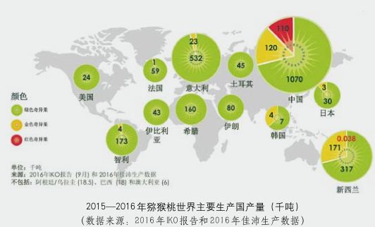 中國獼猴桃總結(jié)果面積已占全球總結(jié)果面積的 67.92%