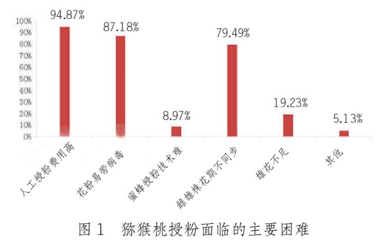 獼猴桃授粉技術(shù)