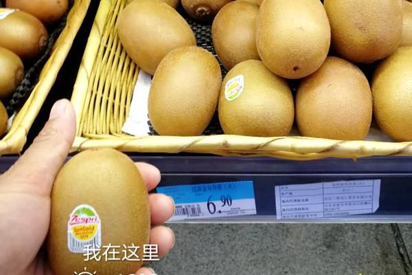 新西蘭佳沛奇異果