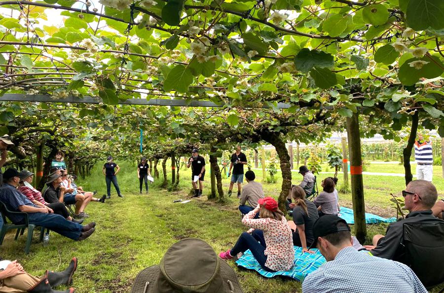 Training on Pollination Techniques for Kiwi Orchard